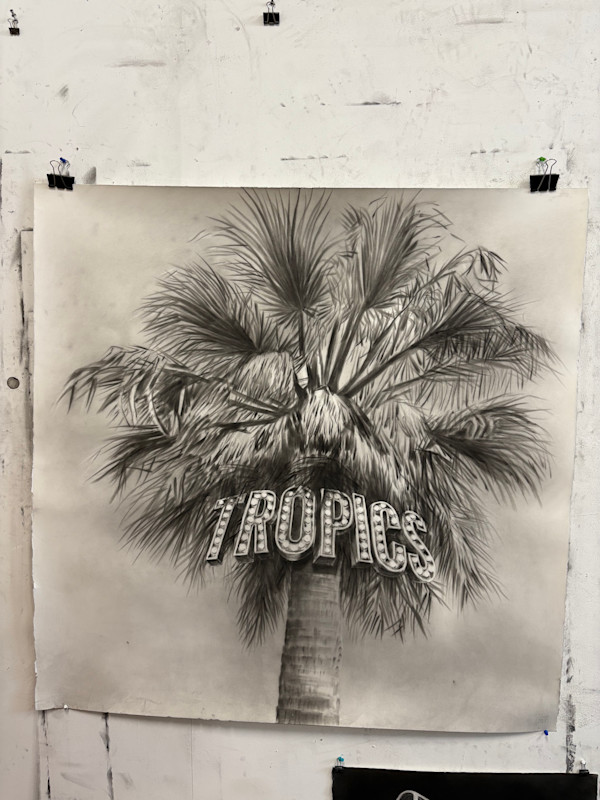 Tropics by Gonzalo Fuenmayor