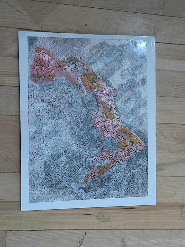 Coloring Book by Shane Murray