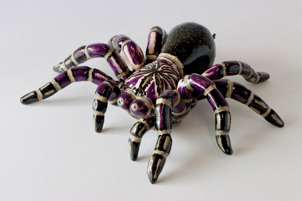 La Tarantula by Ana Maria Velasco, Image 1.