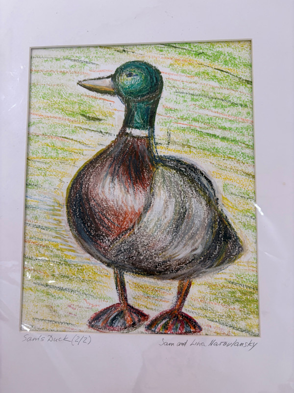 Duck by Selina Narovlansky