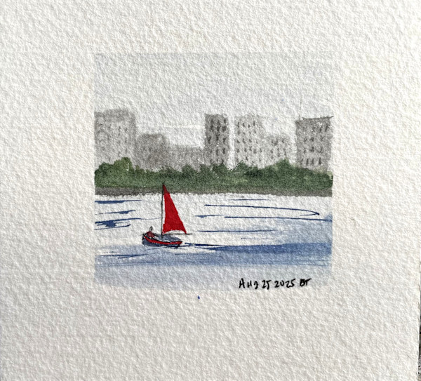 Community Sailing by Bronwyn Teixeira