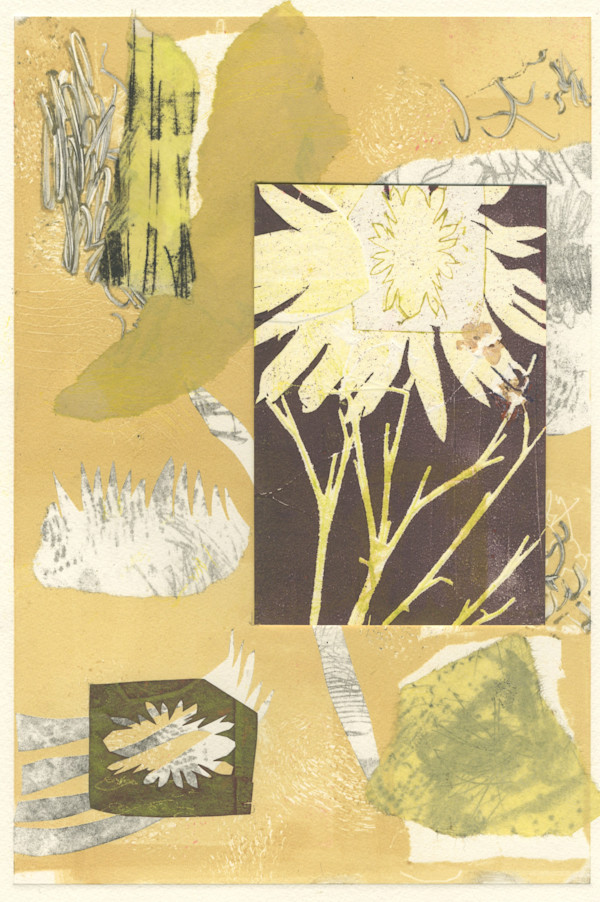 untitled 003 by Diane Bigda