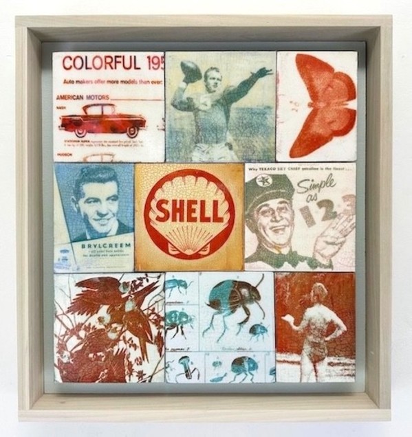 Shells by Bradford Johnson