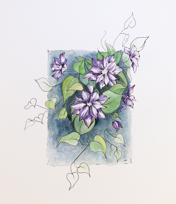Untamed Clematis by Cara Beaudette