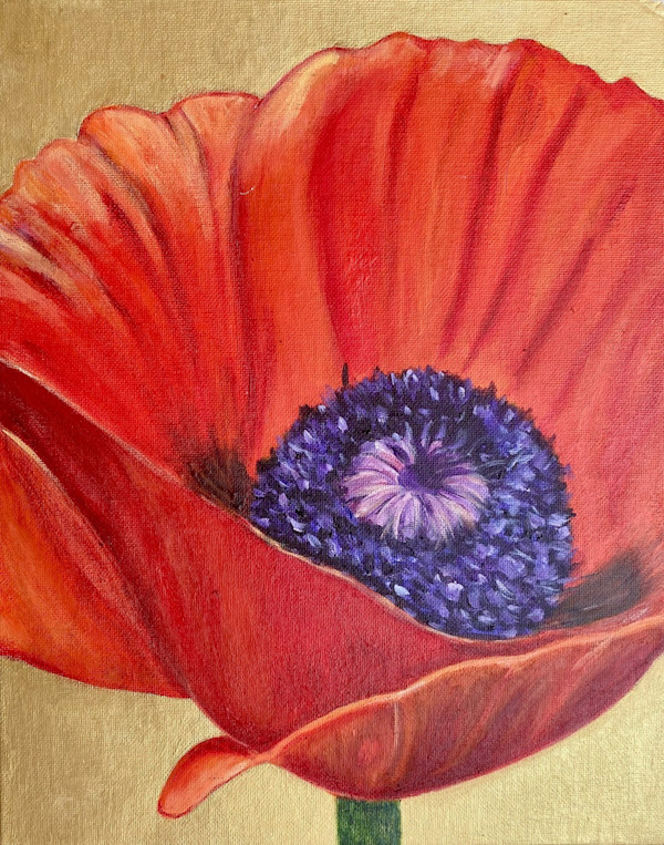 Poppy Flower by Olga Vyshedskaia