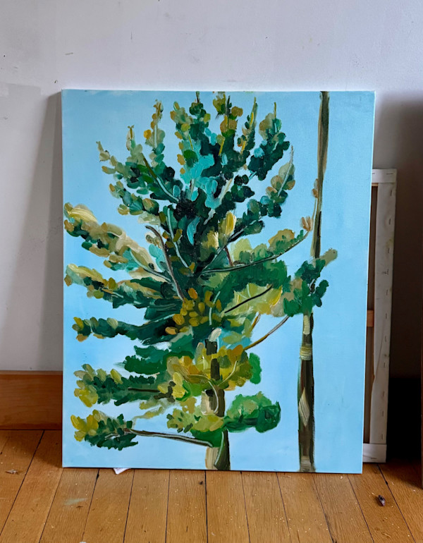 Little Pine Tree by Kim Druker Stockwell