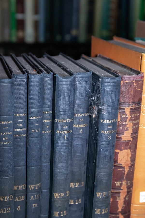 Boston Athenaeum #2318 by Kristina McComb