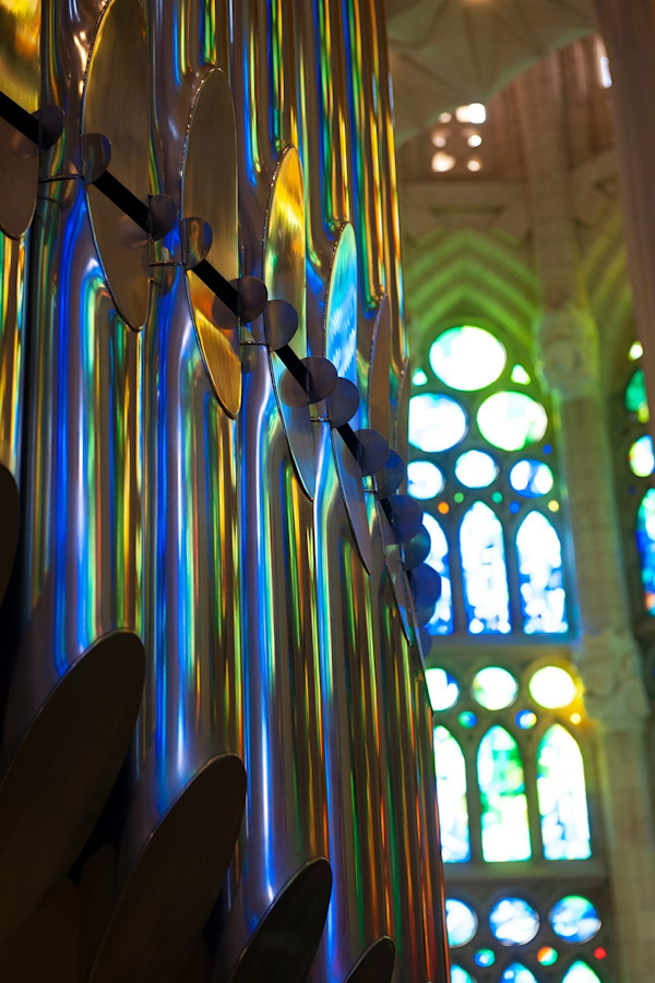 Light by Ryan McMahon