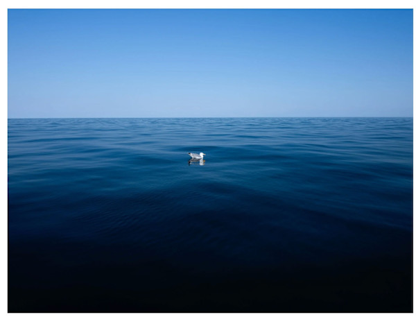 "North of the Sea", Norway 2025 #2 by Paul Guillaume