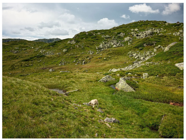 "North of the Sea", Norway 2025 #3 by Paul Guillaume