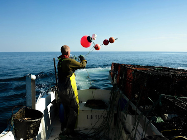 "North of the Sea", Norway 2025 #5 by Paul Guillaume