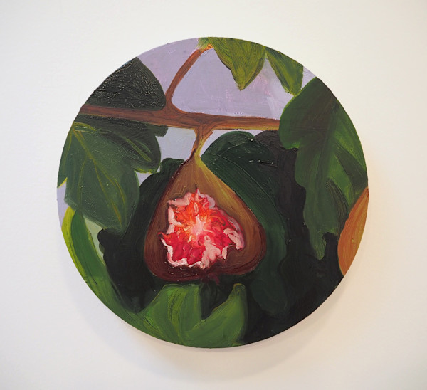 Half Eaten Fig by Claire Elliott