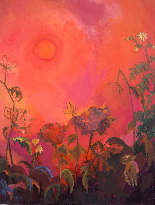 Umbellifer Husks Against a Fire Sky by Claire Elliott