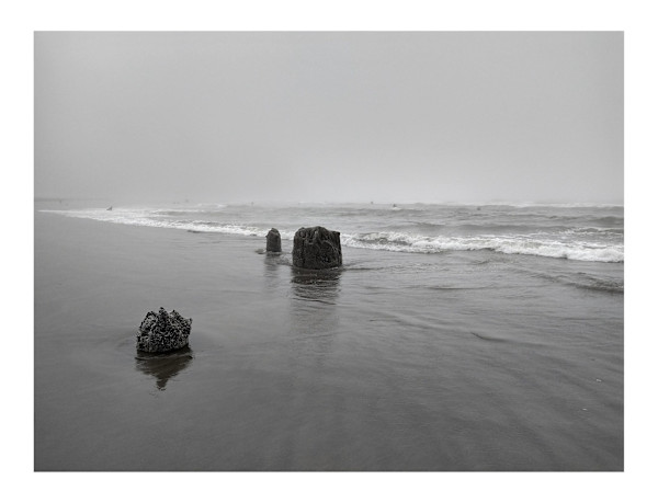 Ancient Tree Stumps, August Low Tide, No. 1, Pacific Rim Series, 2021 // Ed. Artist Proof, 2024 by Georgie Friedman