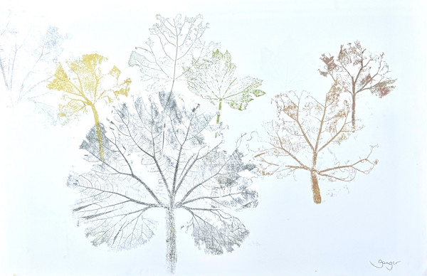 Winter, Spring, Summer, Fall by Ginny Zanger