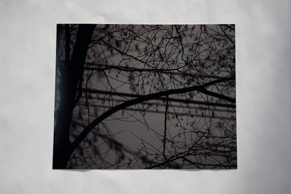 Last Look Goodbye by Eve Sage Holzman