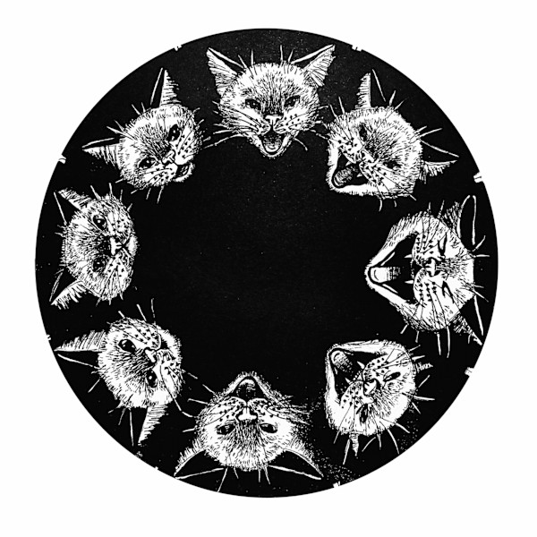 Meow by Jordan Decker