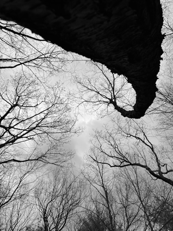 Untitled by Tommey Seggers