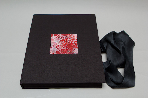 Bloodgood by Cristina Hajosy