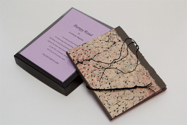 Bumpy Road by Cristina Hajosy