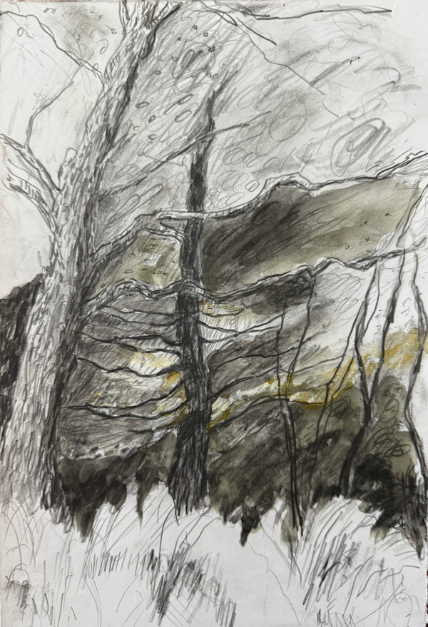 Blustery dusk, Walpole, MA. by Emily Vickers