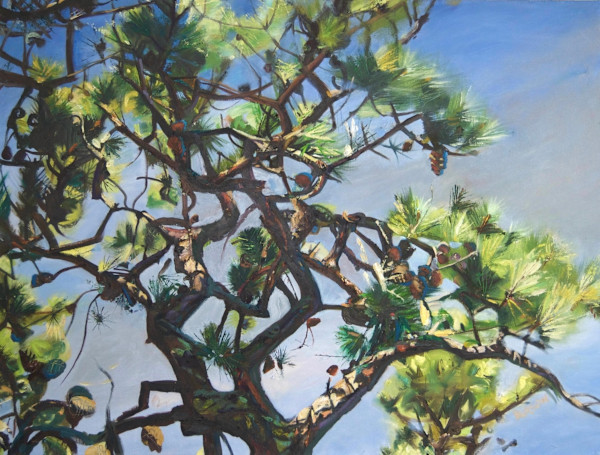 Pitch Pine by Patricia Burson