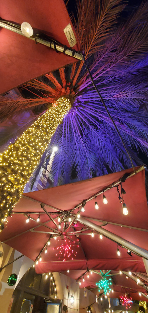 Pequena Habana by Dolores Anoli