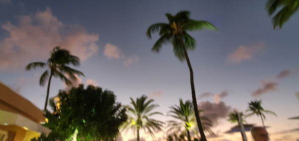 Miami Borrosa by Dolores Anoli