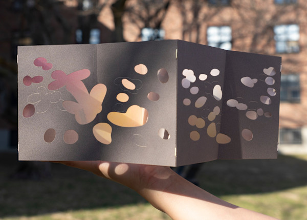 Untitled by Sophia Chen