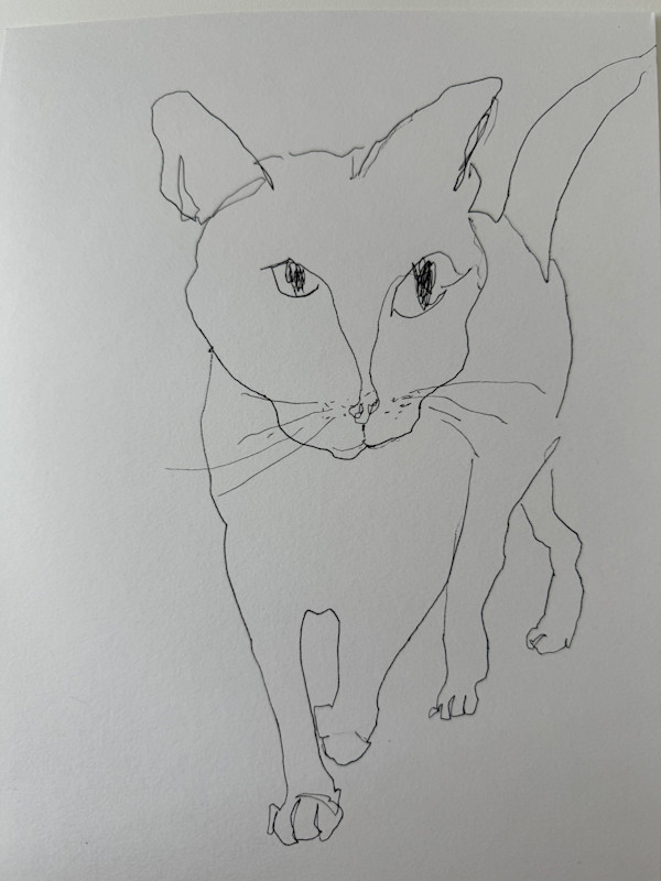 Diego, Somerville, MA. by Emily Vickers