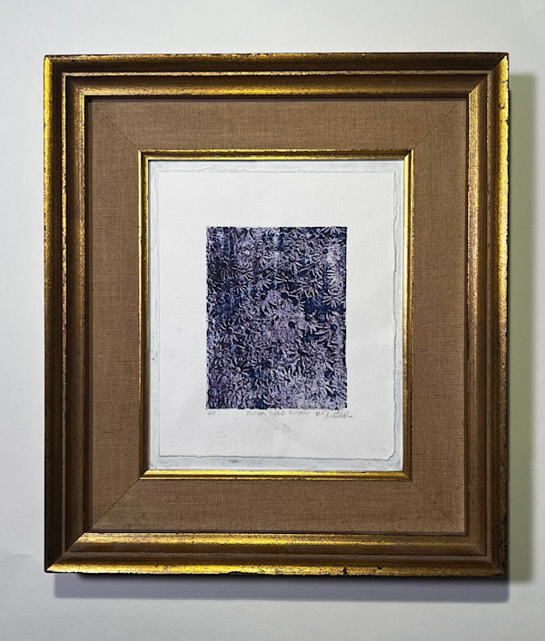 black eyed susan by Quinn Kessel