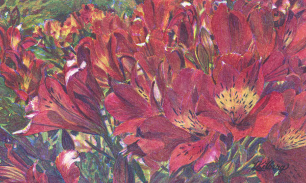 Fiery Profusion by Lois Kilberg