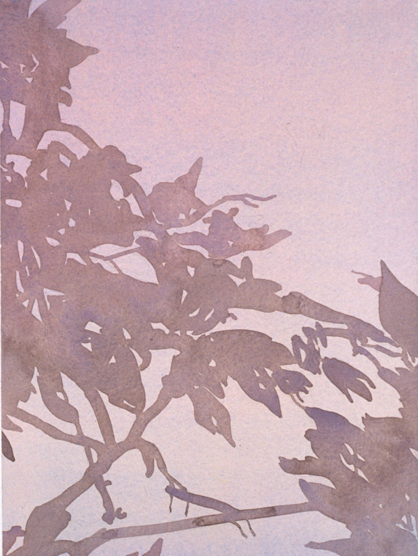 Fleeting Shadows by Susan Swinand