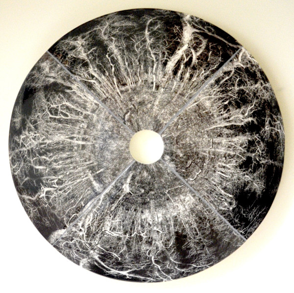 Truro Woods by Warren Mather