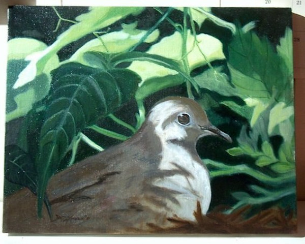 Mourning Dove by Diane Maroun