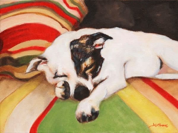 Comfort by Diane Maroun