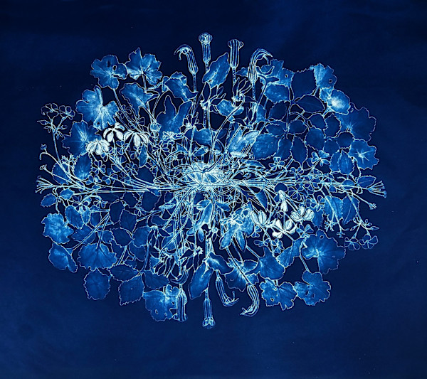 January in the Round by Judith Allen-Efstathiou