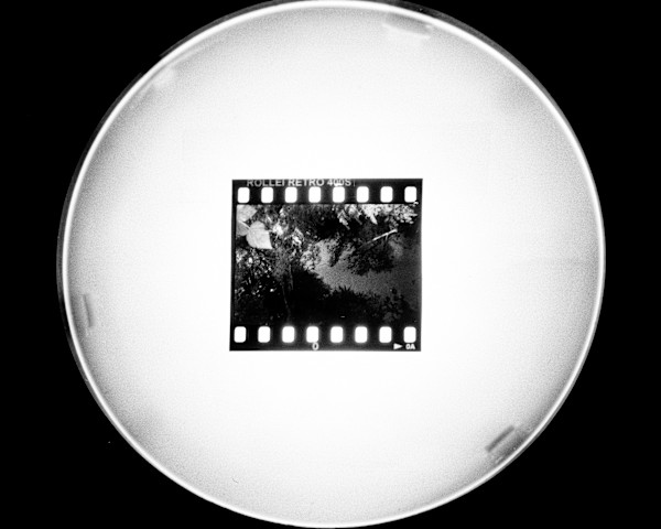 Picture of a Picture that is a Picture of a Picture by Andrew Bailey