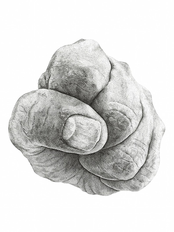 9 Months of Building by Steven Buduo