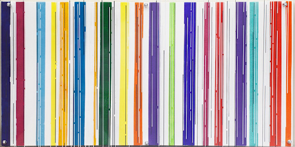 Barcode 2 layers by Sue Yang