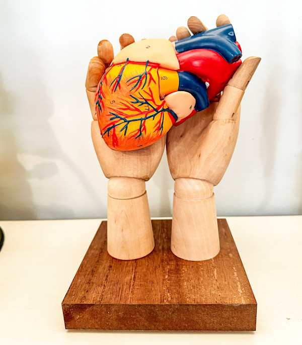 Your Heart is in Good Hands by David Joseph