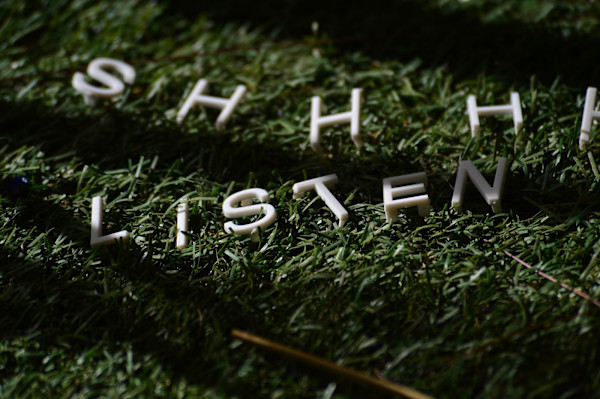 Shhhh Listen... by Ryan McMahon