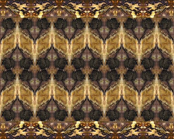 Creatures of the Forest 569 by Lydia Harris