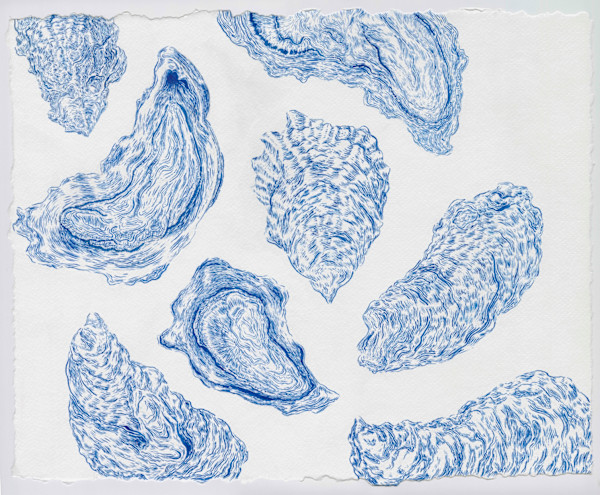 Blue Oysters by Danielle Lauretano