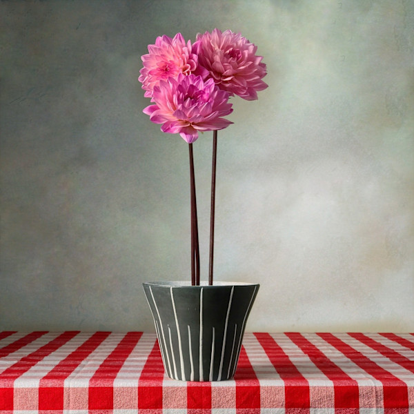 3 Dahlias by Anthony Pagliuca