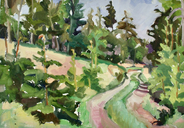 Island Pathway II - Great Spruce Head Island, ME by Jill Pottle