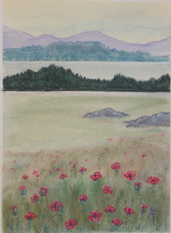 Poppies and the Camden Hills by L.M. Turner