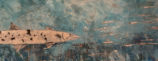 'Cudas by Mimi Macksoud