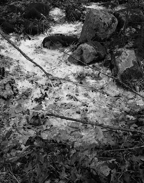 Desiccated by Chris Maliga