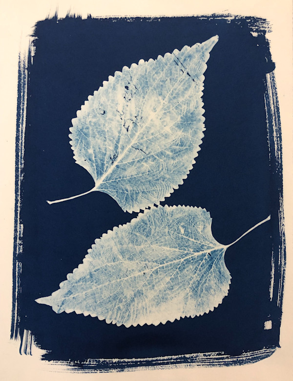 Two Leaves (Copperleaf) by Mary Pinto